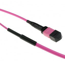 ACT Multimode 50/125 OM4(OM3) polarity A fiber trunk cable with MTP/MPO female connectors 25m Pink