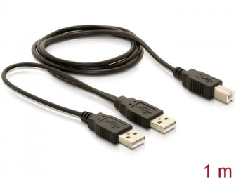 DeLock USB 2.0-B > USB-A power + power/data cable