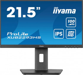 iiyama 22