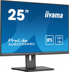 iiyama 25