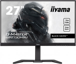 iiyama 27