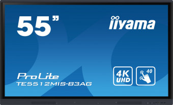 iiyama 55